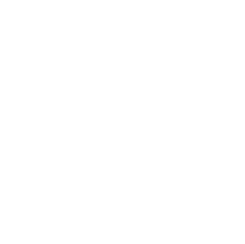 CSS